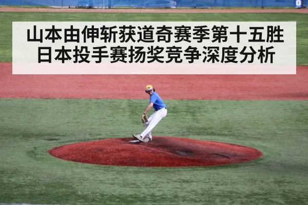 baseball pitcher on mound